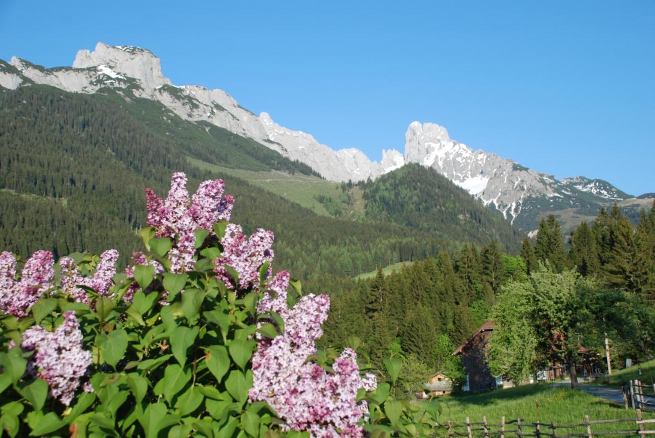 Alpenhaus Donnerkogel Apartment อันนาแบร์ อิม ลัมเมอร์ทาล ภายนอก รูปภาพ